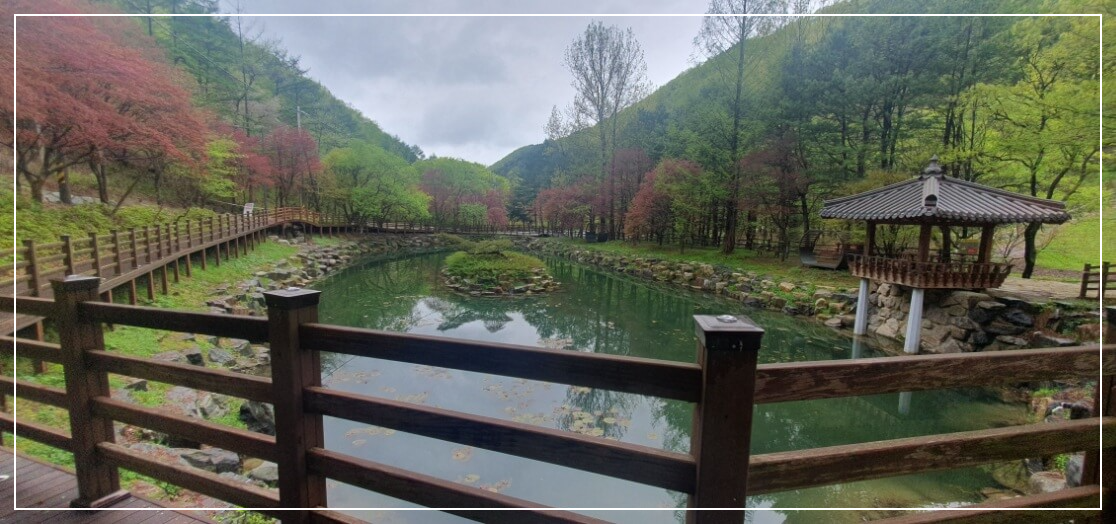 임실 가볼만한곳 베스트10 성수산 왕의숲 자연휴양림 & 캠핑장
