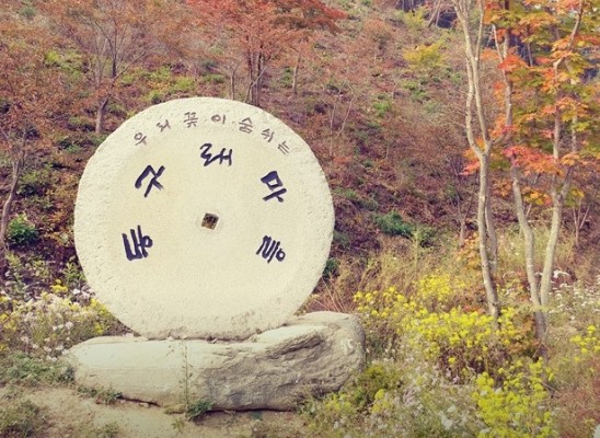 [강원도 여행지 추천] 화천 가볼만한 곳 베스트 10 동구래마을