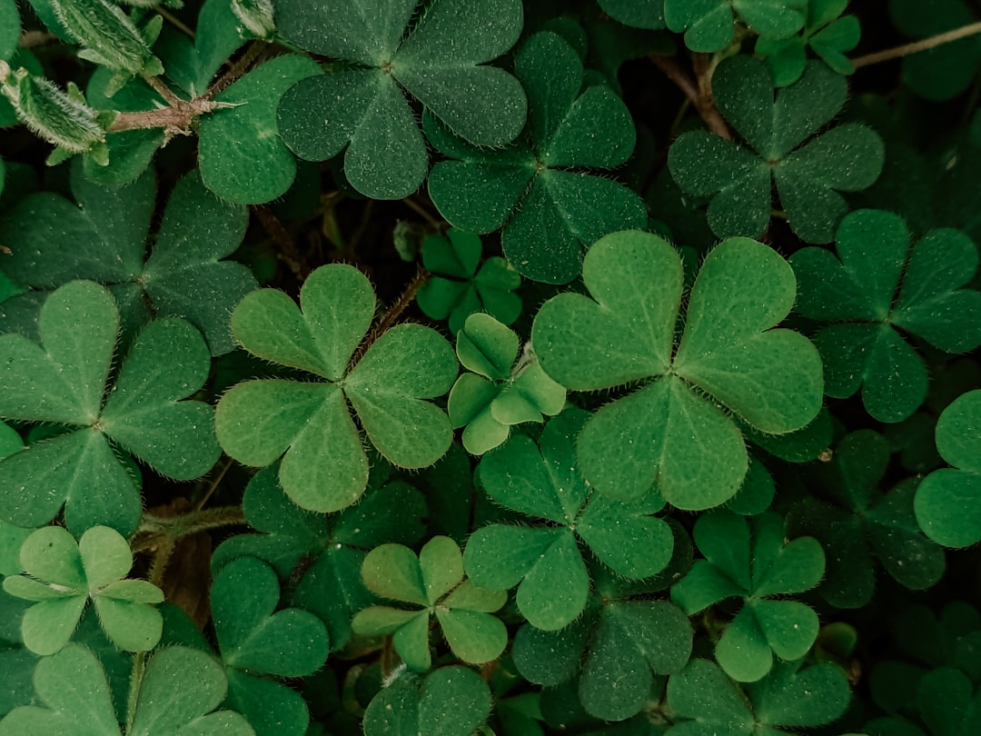 'Lucky'