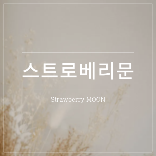스트로베리문 이란?