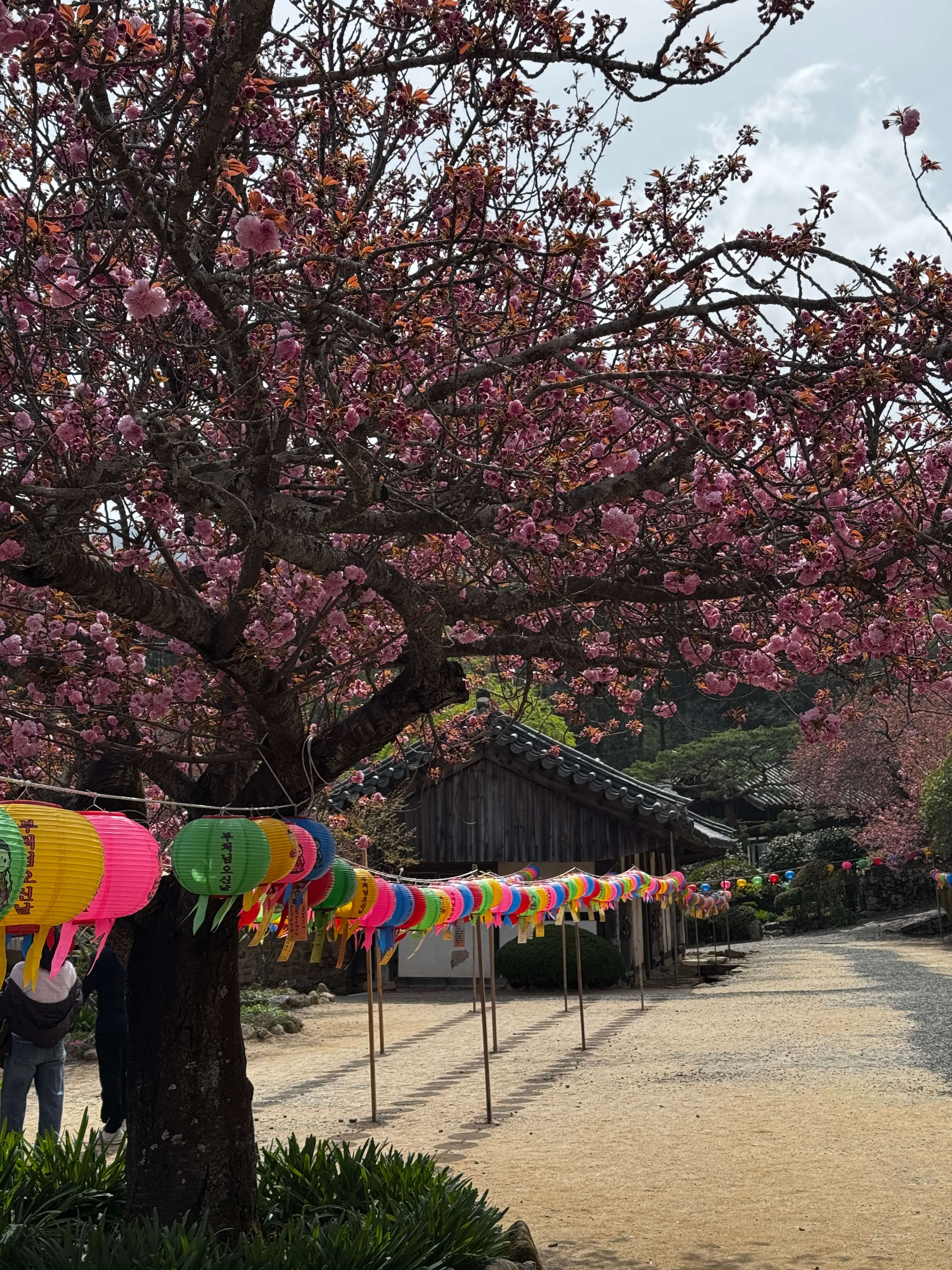 사찰의 주, 순천 선암사 전경