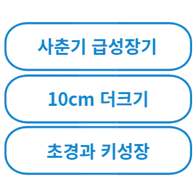 파란색으로 사춘기와 성장기라고 적혀있다.