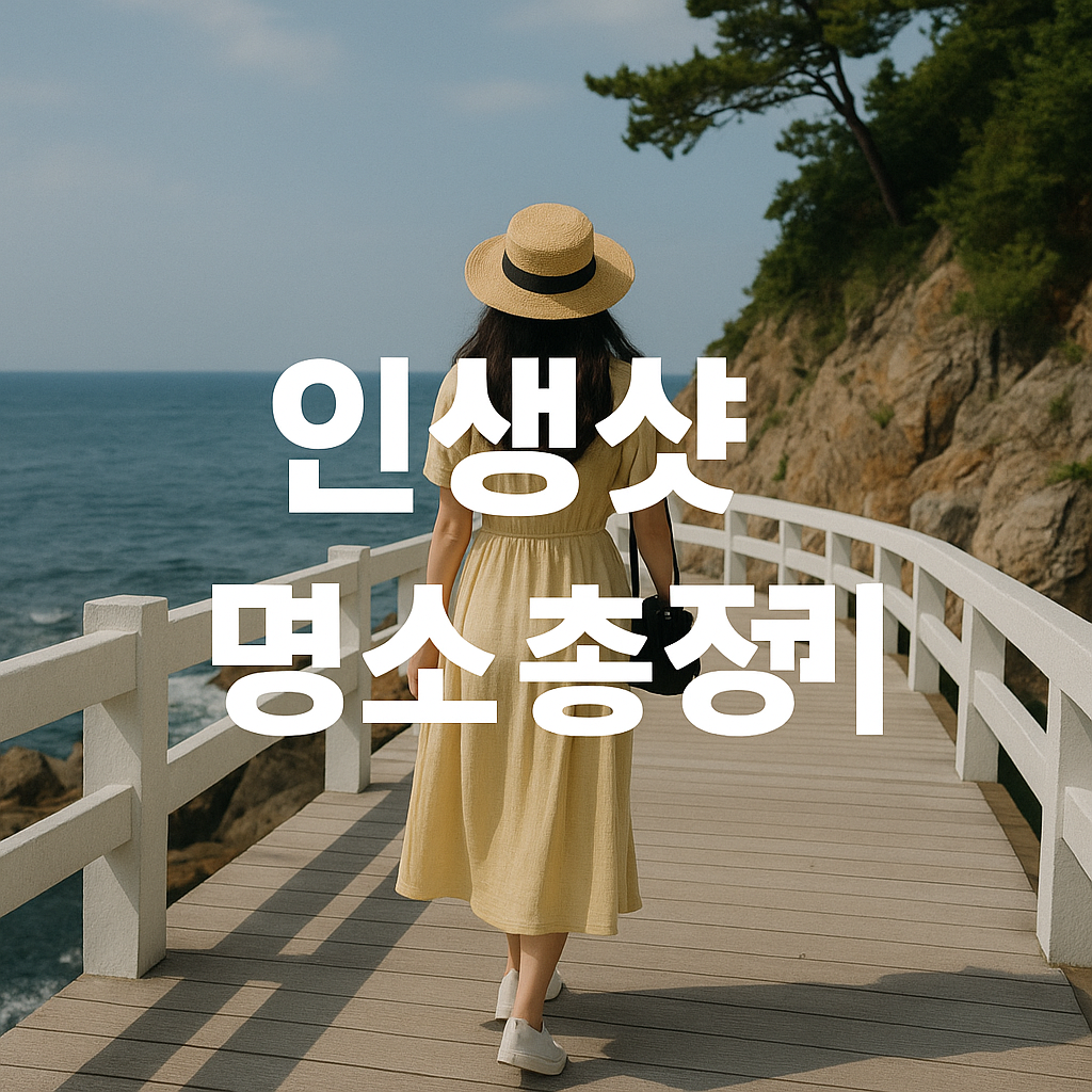 인생샷 명소 총정리