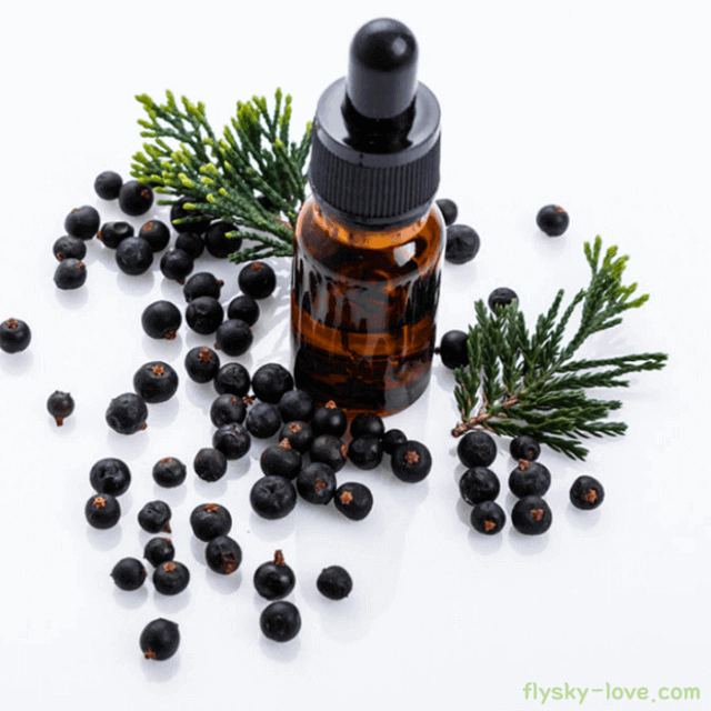 주니퍼베리 (Juniper berry), 주니퍼베리 오일