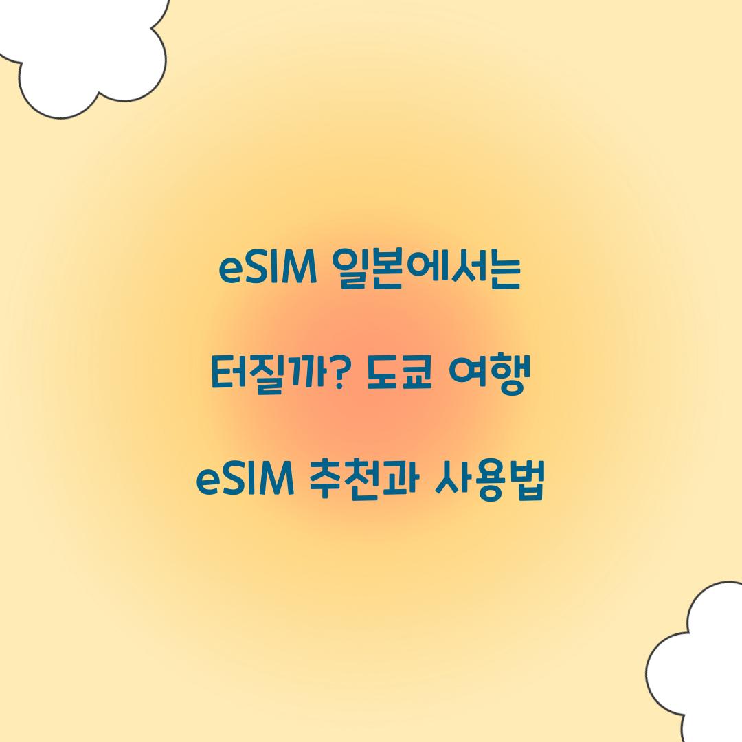 eSIM 일본에서는 터질까