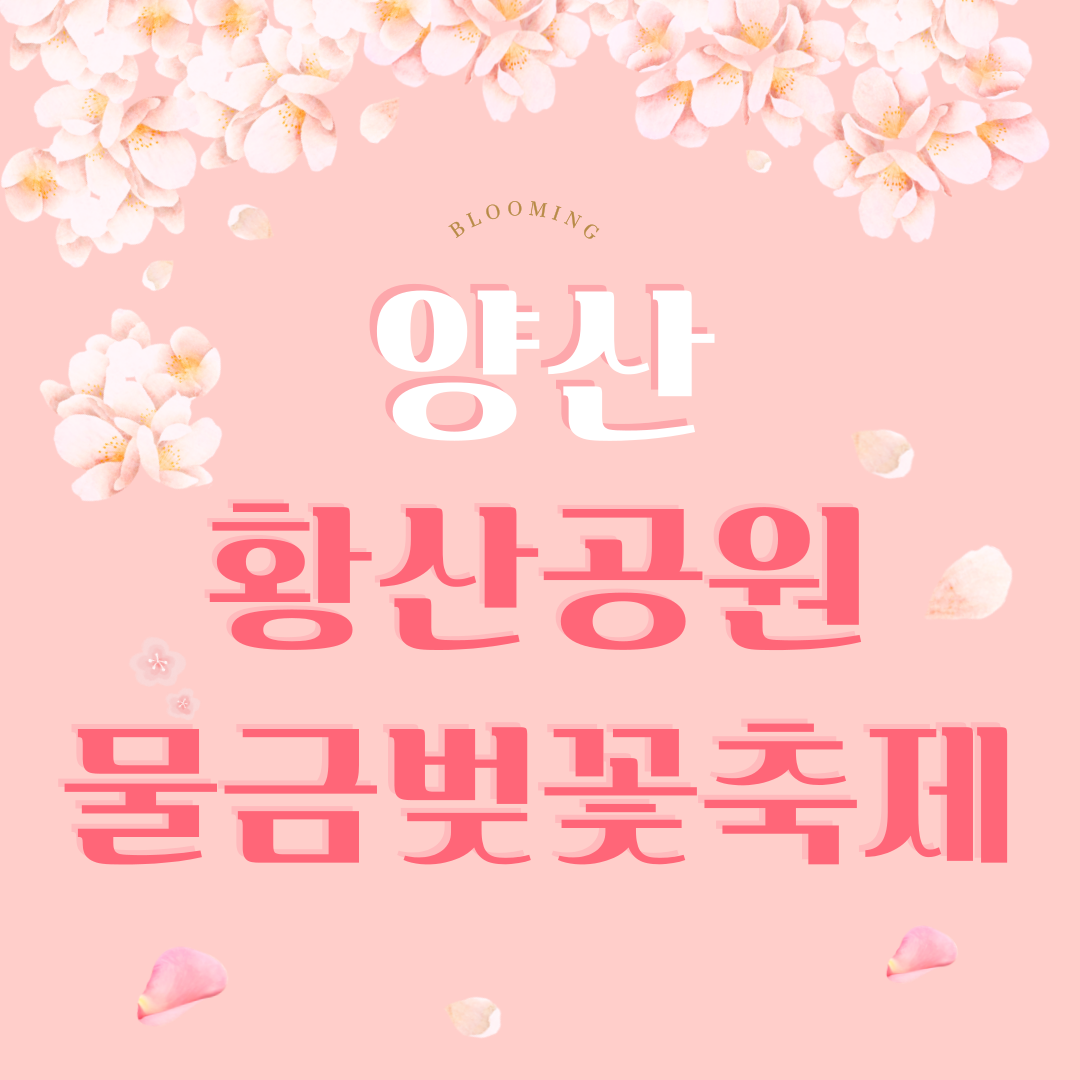 양산 황산공원 물금벚꽃축제