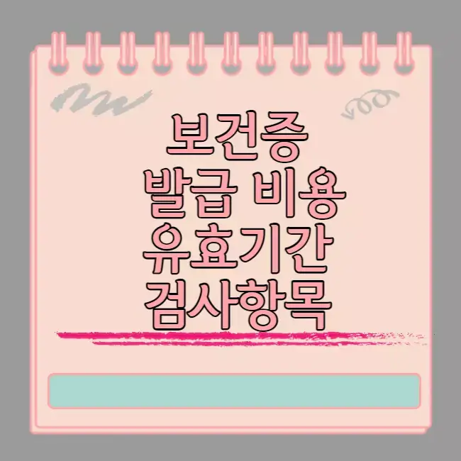 보건증 발급 비용 유효기간 검사항목