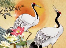 2026년 병오년 신년운세 무료사이트 추천