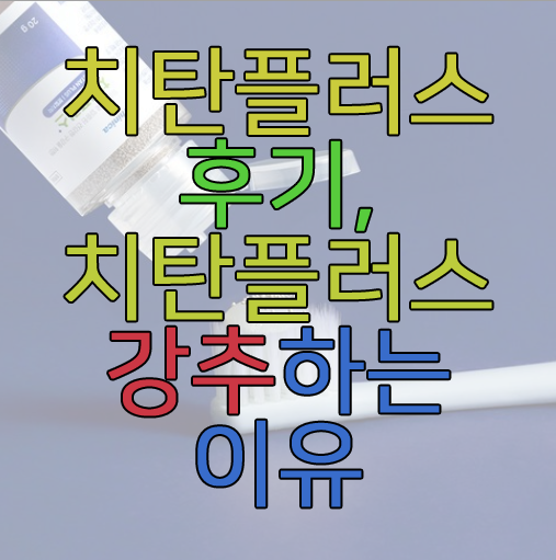 치탄플러스에 관한 글 보러 가기 링크 사진
