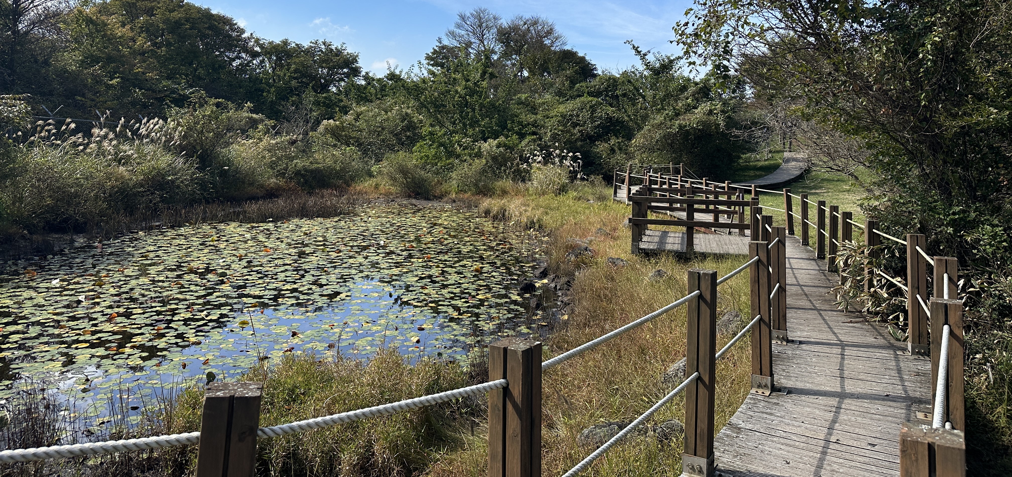 거친오름 산책로