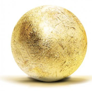 공진단-효능-먹는법-건강