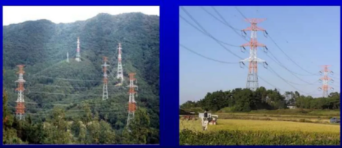 항공장애-표시도장