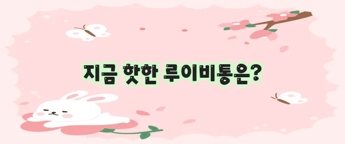 루이비통 가방 인기 순위, 그 최신 트렌드를 주목해야 합니다.