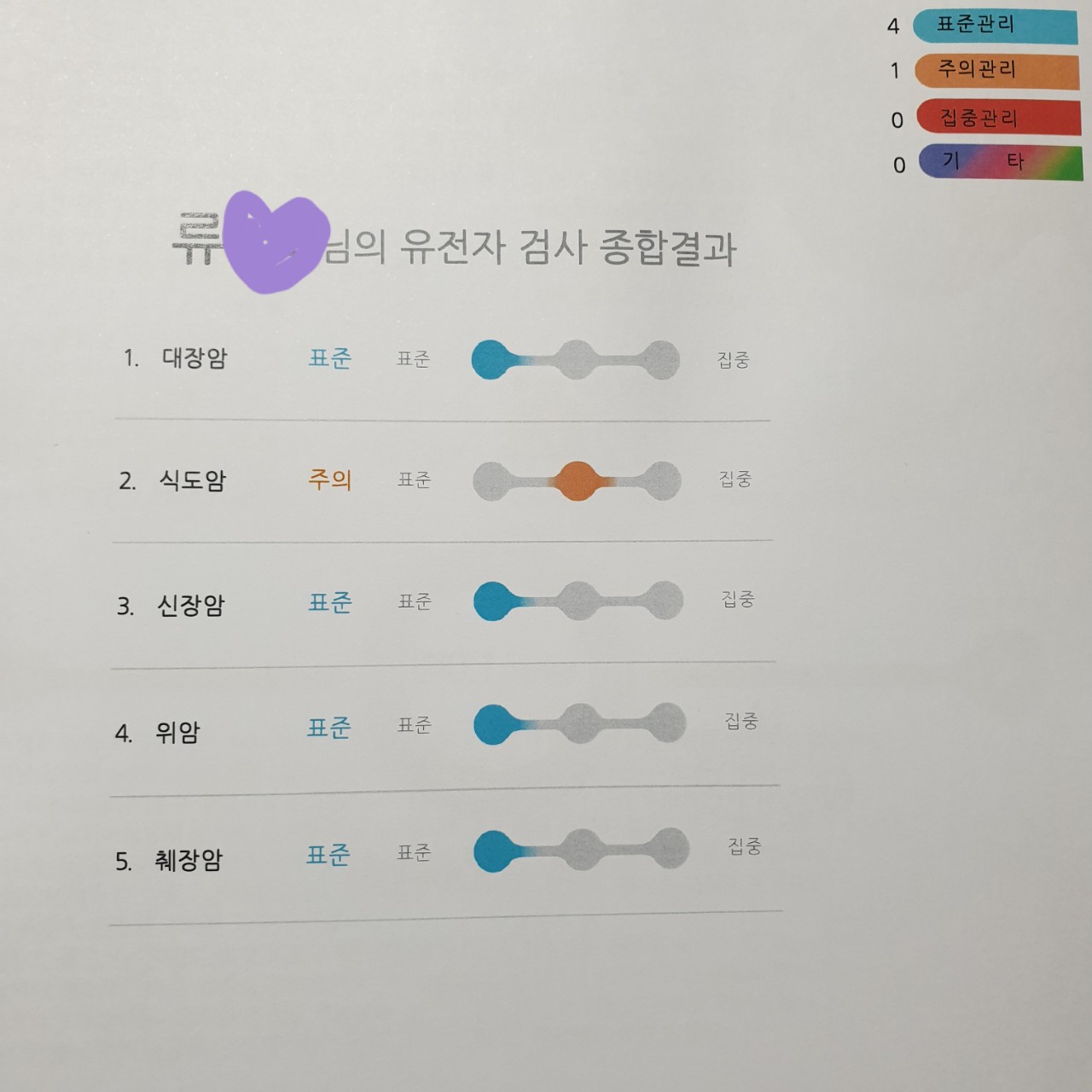 암 유전자 검사