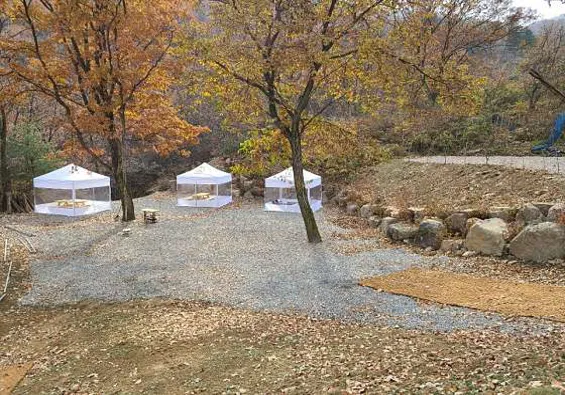 반디블리
