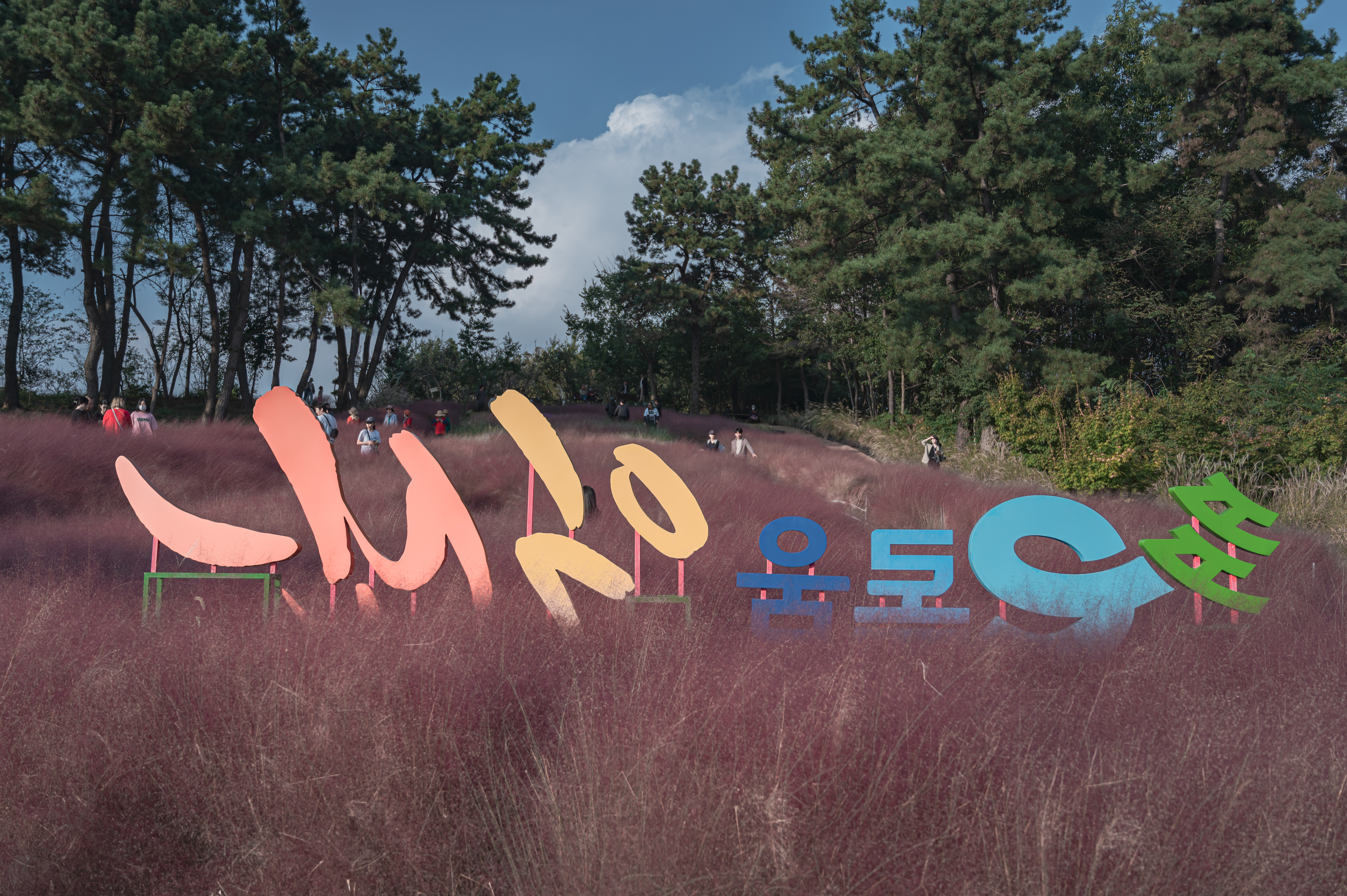 ์ ํฅ ๊ทผ๋ฆฐ ๊ณต์ ๋๋ ๊ธธ