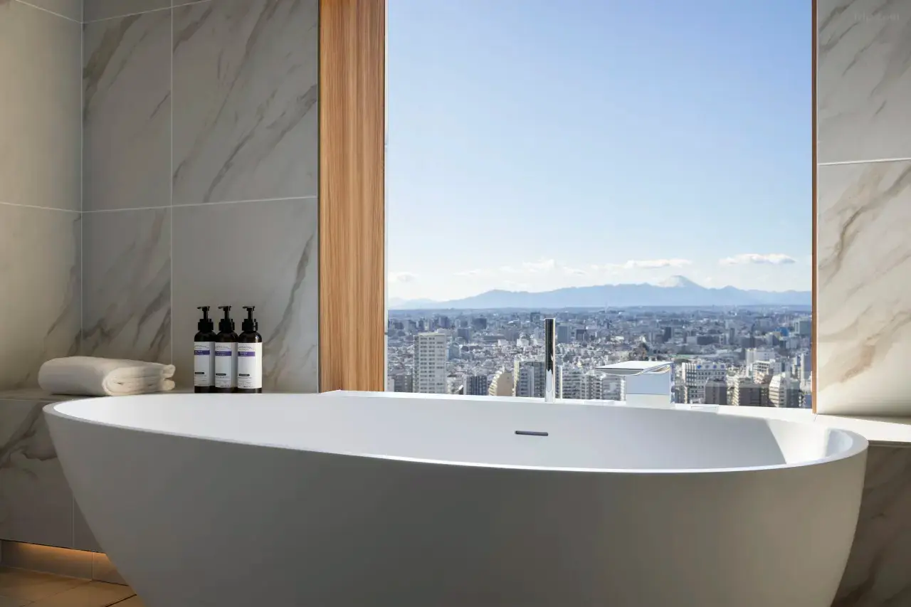 Hyatt_Regency_Tokyo(2)