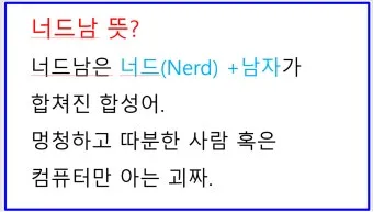 너드남 뜻 매력 유래 사용 예시_17