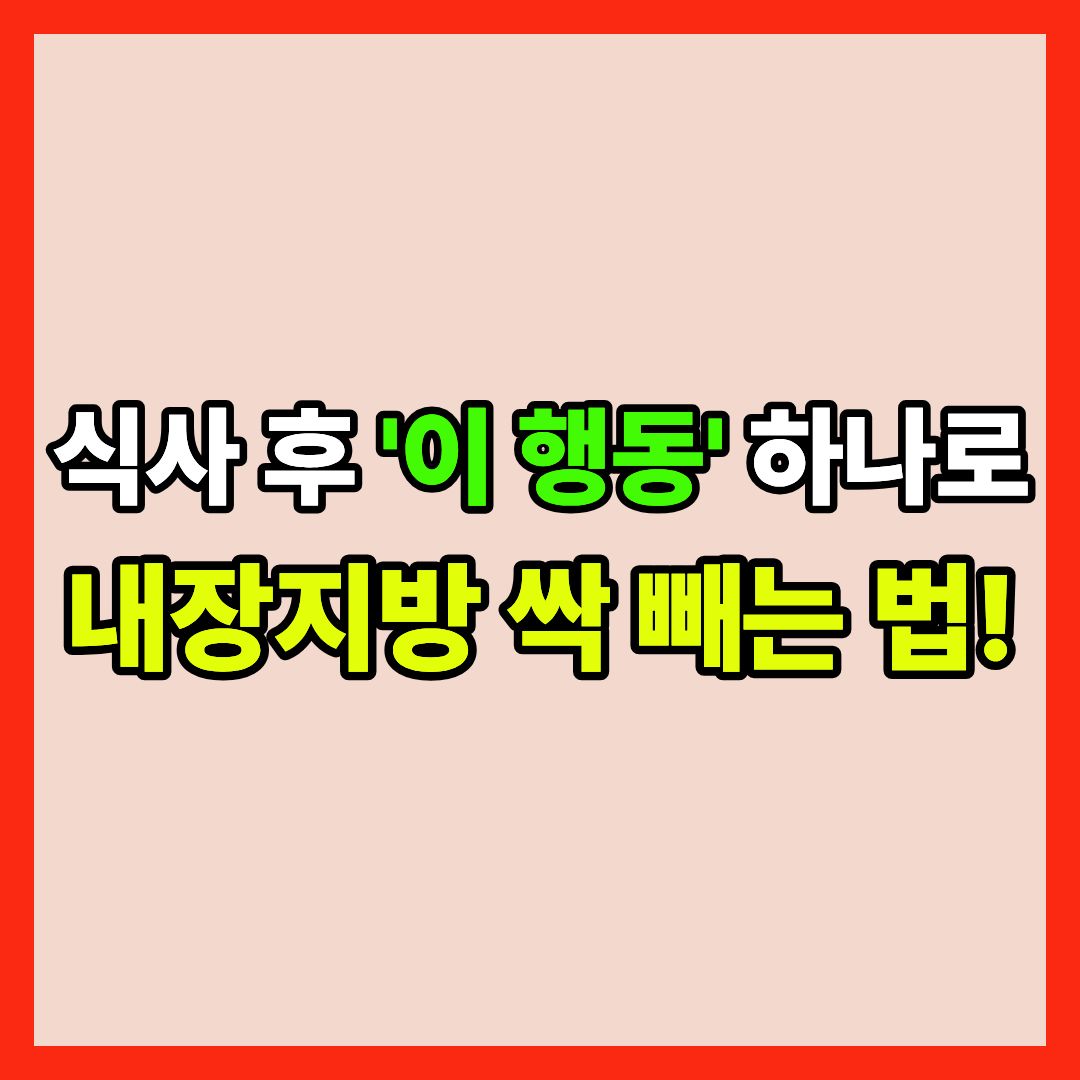 뱃살 빼는 법