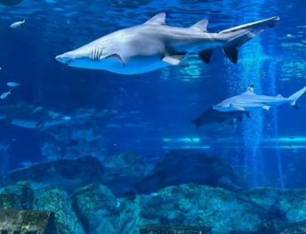 서울 비오는날 가볼만한곳 BEST 10 