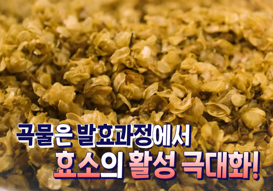 저분자 발효효소