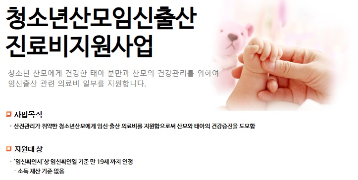 미성년, 미혼모, 출산지원, 진료비지원