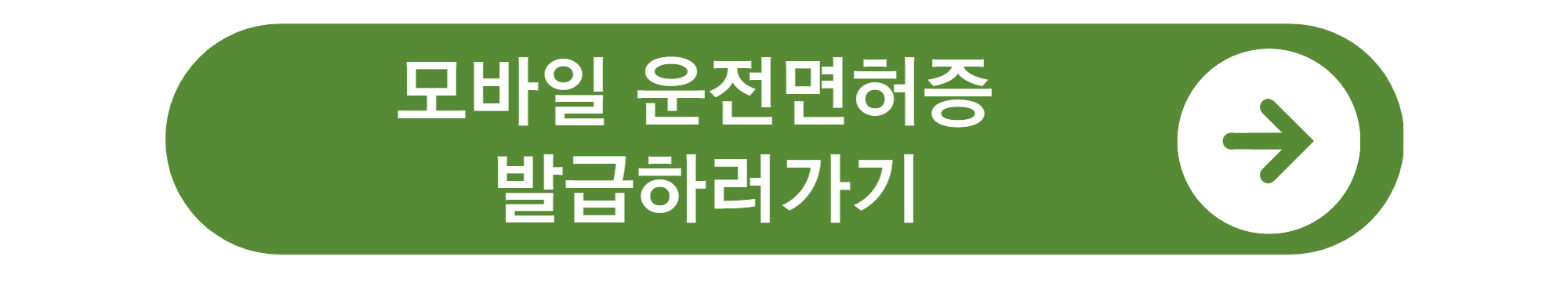 모바일 신분증