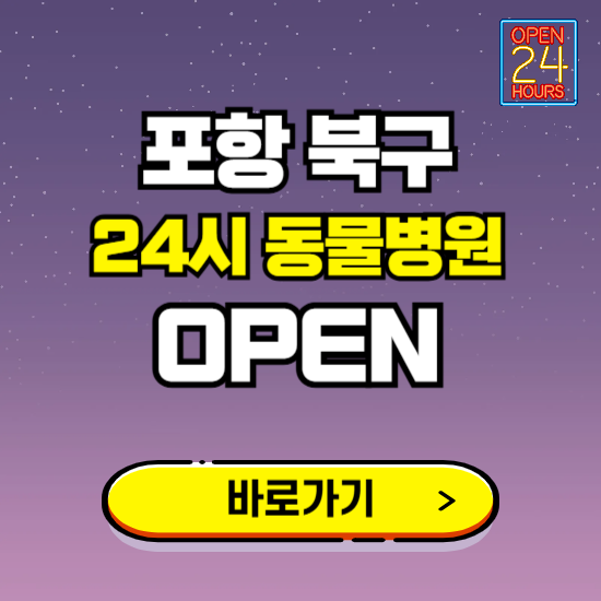 포항시 북구 24시 동물병원 진료하는 곳 ❘ 설날 휴일 야간 심야 문여는곳 찾기 ❘ 응급진료
