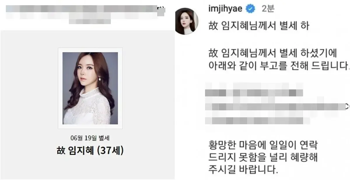 유튜브 '술방' 라이브와 '임블리' 사건