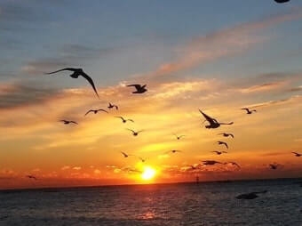 새해 첫날&amp;#44; 떠오르는 해