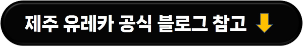 제주 렌트카 추천 제주 유레카