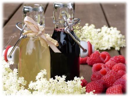 단순 탄수화물 첨가당 