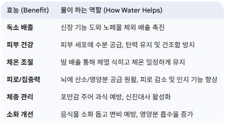 물의-주요-건강-효능