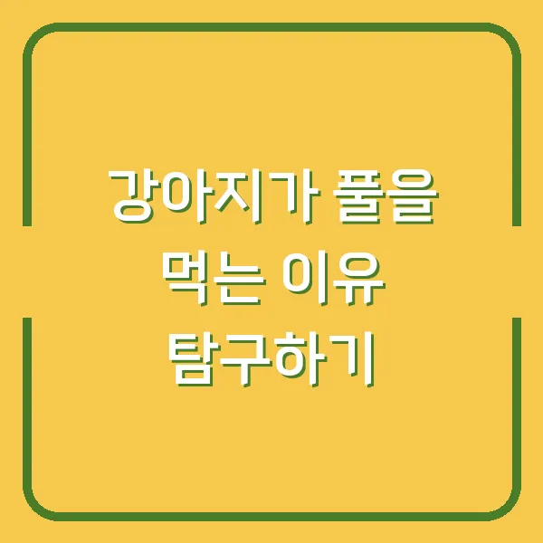 강아지가 풀을 먹는 이유 탐구하기