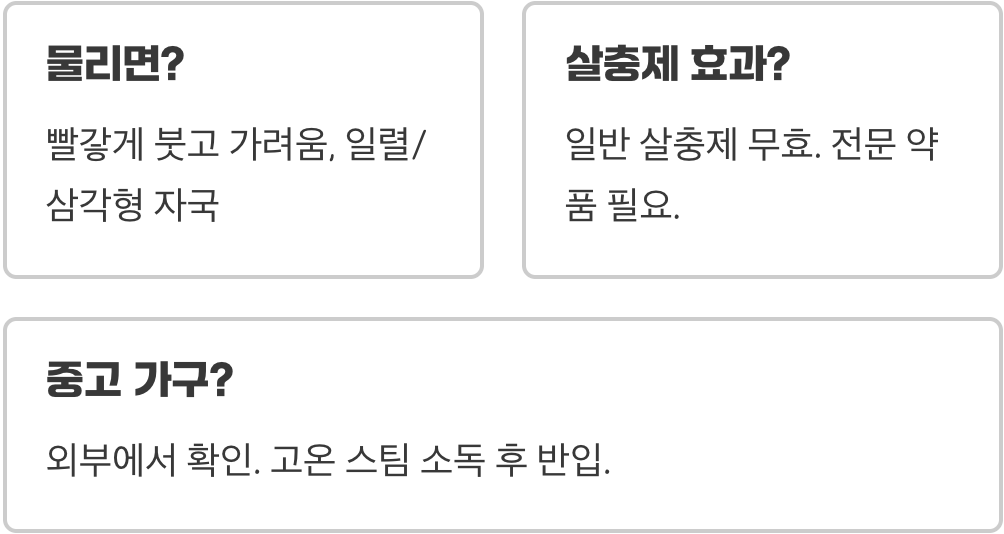 빈대 예방법, 다시는 안 물리게 하는 꿀팁 3가지