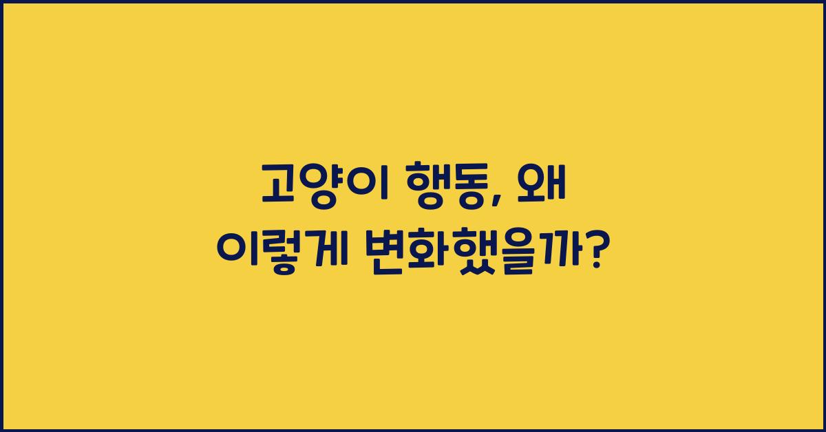 고양이 행동