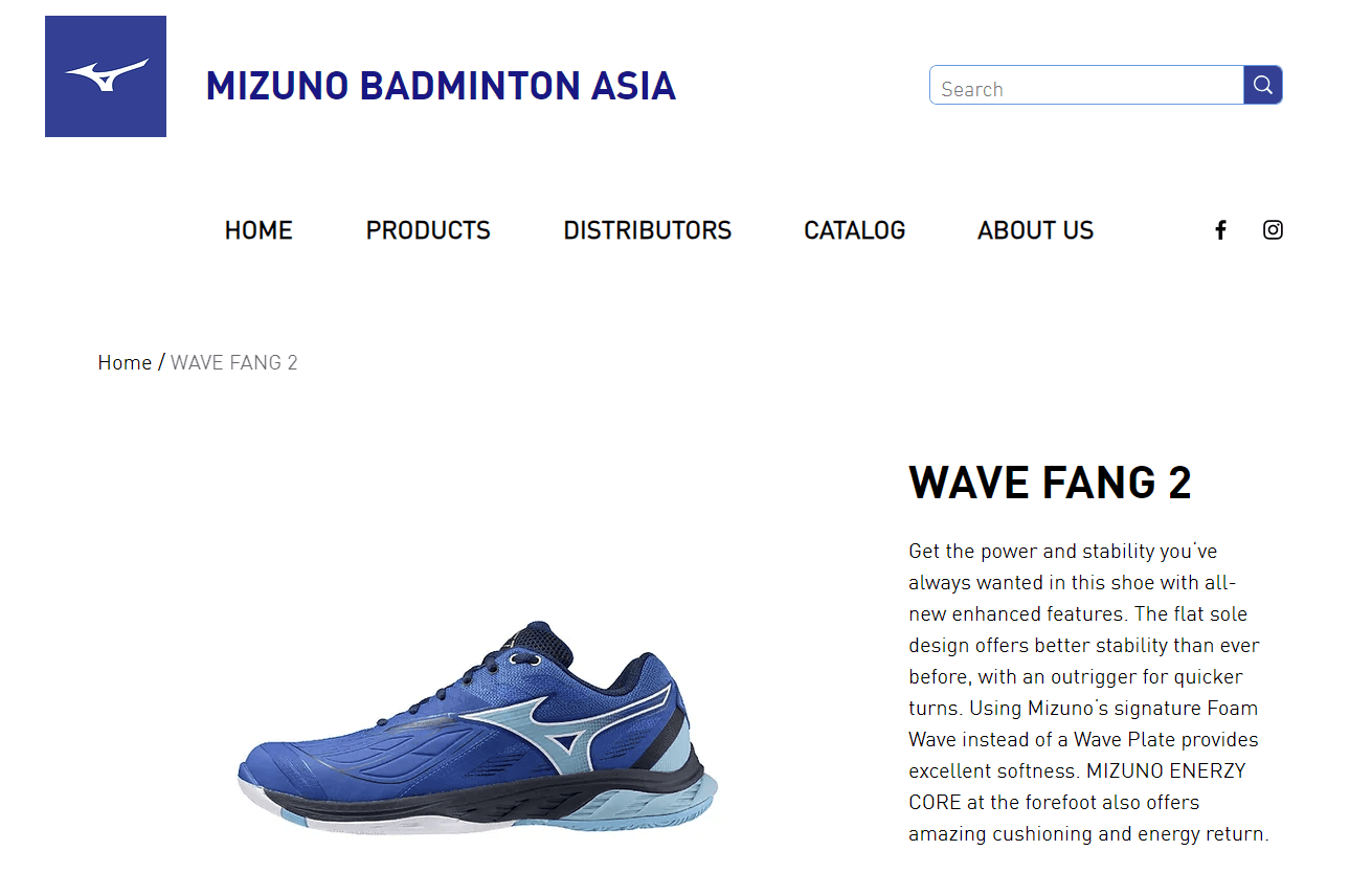 Mizuno Wave Fang RX2