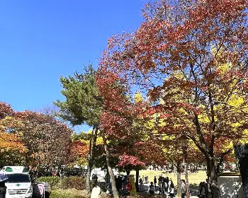 문경 사과축제_27