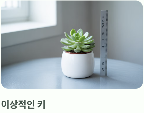 &amp;#39;골든 타임&amp;#39;을 놓치지 마세요! 순지르기 최적 시기