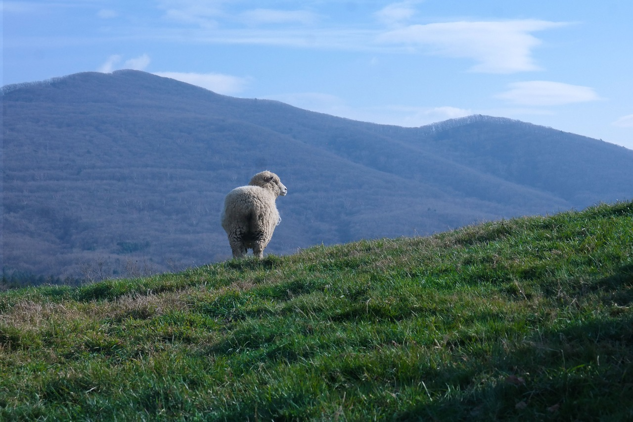 퇴사 후 통장 잔고보다 먼저 줄어든 것