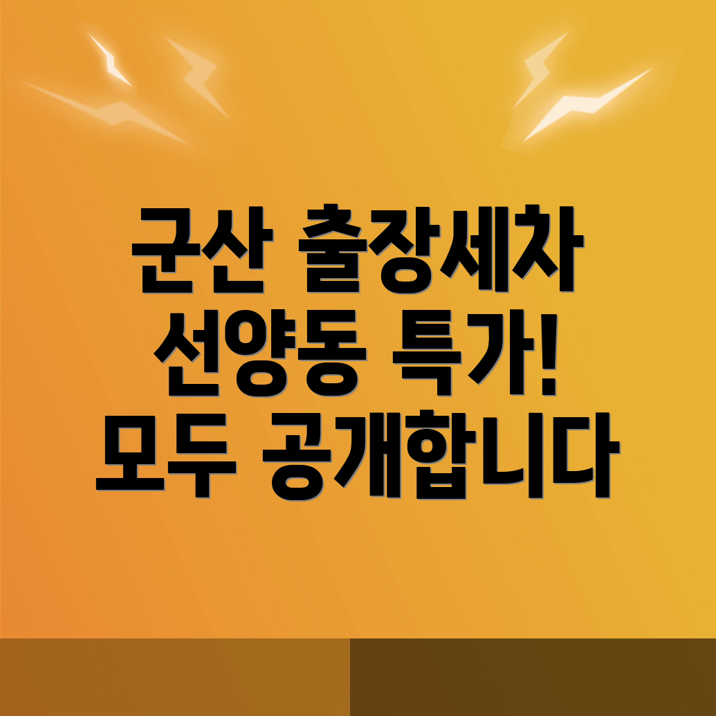 군산 출장세차