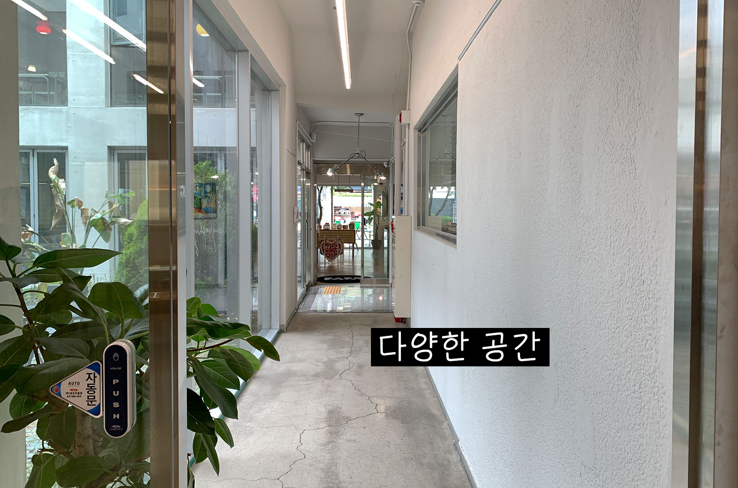 부산 금정 대형카페 셀라스 커피 복합문화공간 브런치 추천 리뷰