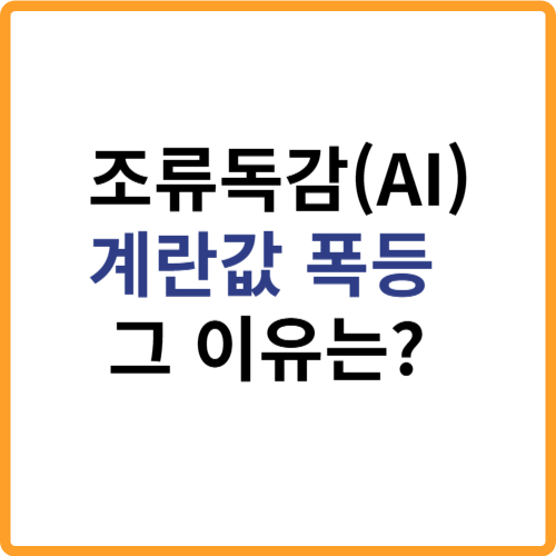 조류독감(AI)으로 인한 계란값 폭등, 이유 관련 사진