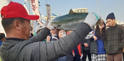 제주-최남단-방어축제-행사일정-프로그램-주차정보