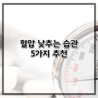 혈압을 낮추는 생활습관 5가지 &ndash; 실천 방법 중심