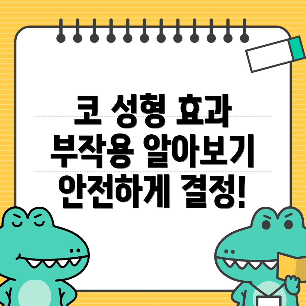 코 성형의 효과