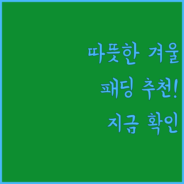 겨울 추위를 날려줄 따뜻한 패딩 점퍼
