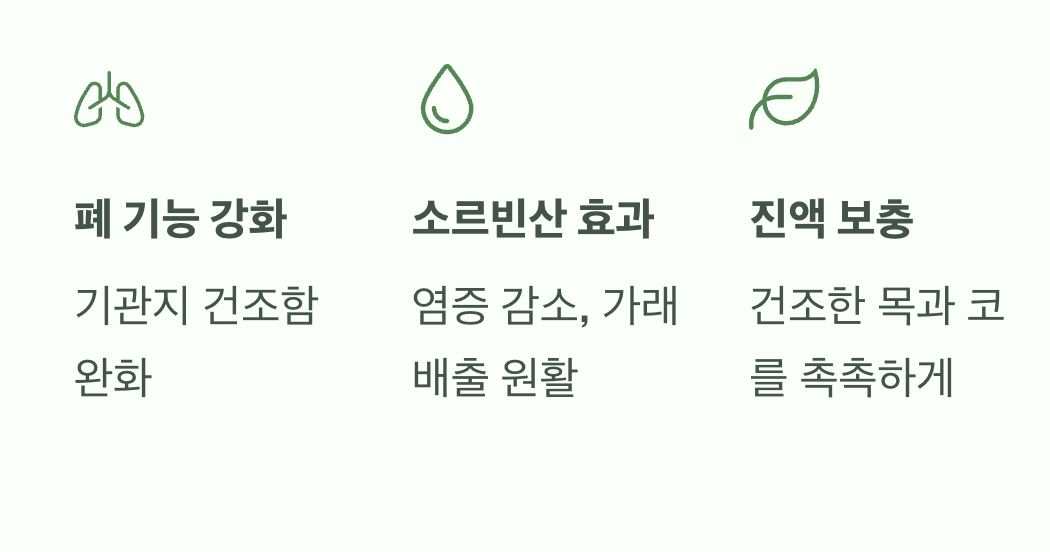 칼칼한 목, 호흡기를 촉촉하게