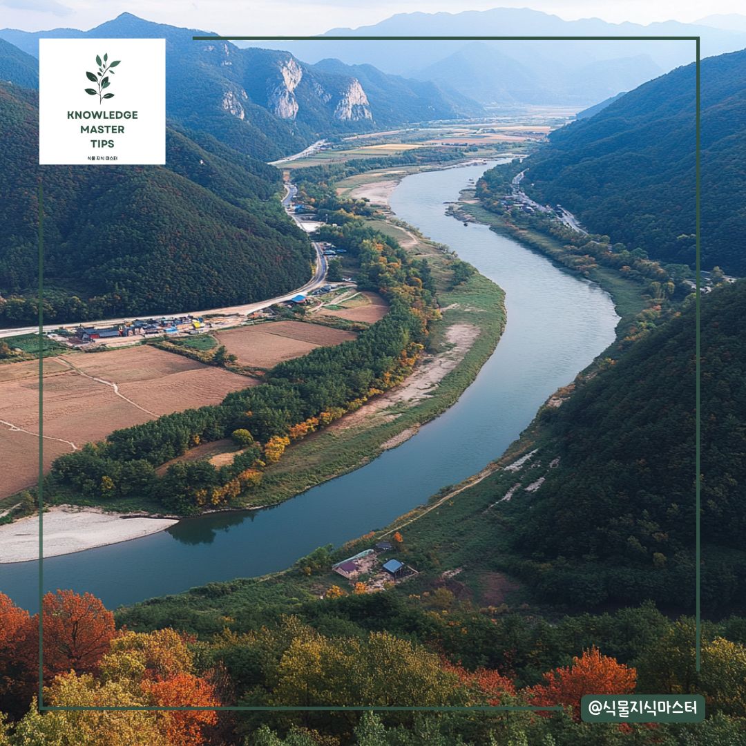 강원도 단풍 명소 - 정선 동강