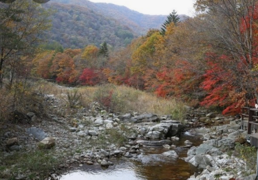 11월 단풍축제 가볼만한곳 BEST 10
